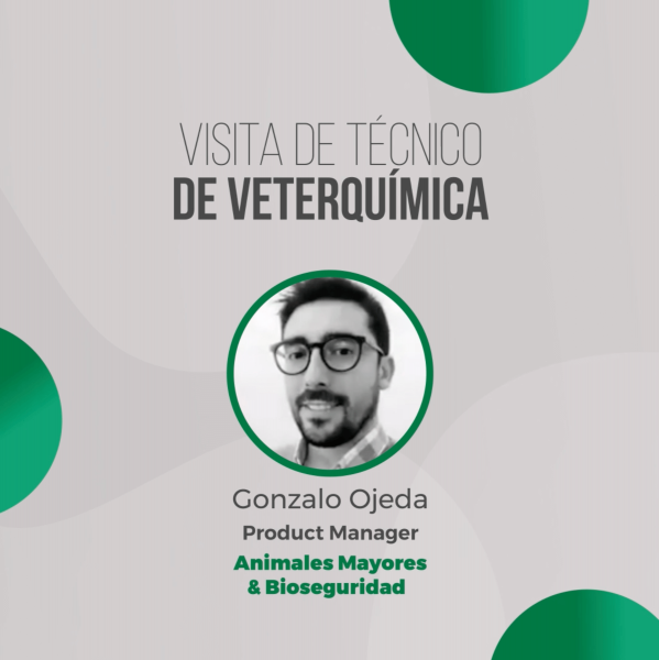 VETERQUIMICA---Portada